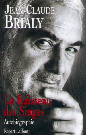 Cover of the book Le ruisseau des singes by Jean TEULÉ