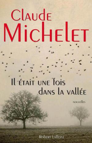 Book cover of Il était une fois dans la vallée