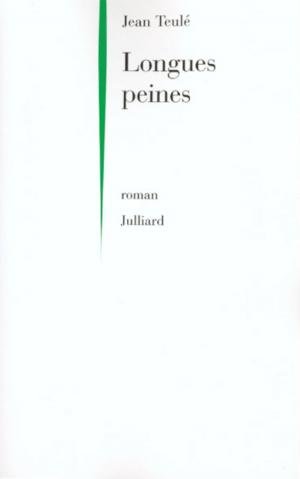 Cover of the book Longues peines by Michael WOLFF