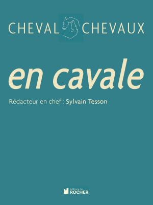 Cover of Cheval Chevaux, N° 6, printemps-été 2011