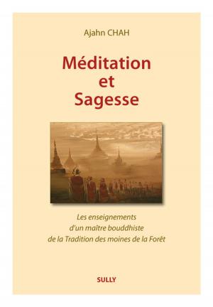 Book cover of Méditation et sagesse