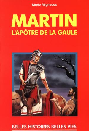 Cover of the book Saint Martin by Cyril Lepeigneux