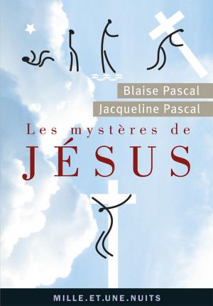 Cover of the book Les Mystères de Jésus by Renaud Camus