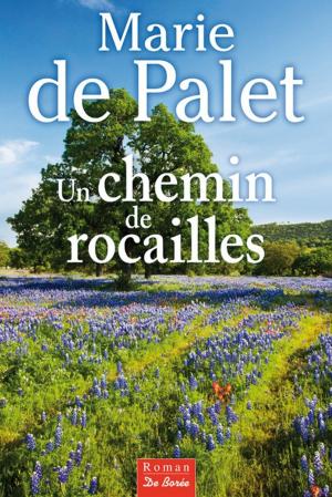 Cover of the book Un chemin de rocailles by Anne Martinetti