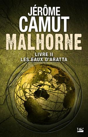 Cover of the book Les Eaux d'Aratta by Valérie Simon