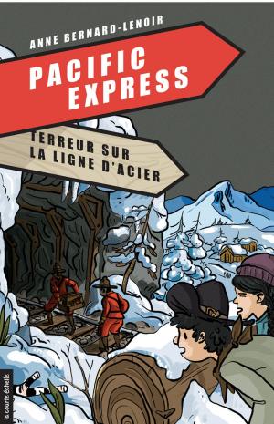 Cover of the book Terreur sur la ligne d'acier by Stanley Péan