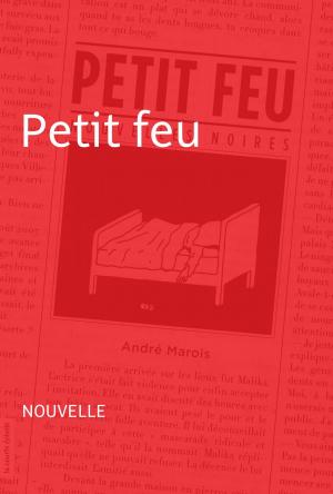 Cover of the book Petit feu by Fanny Britt