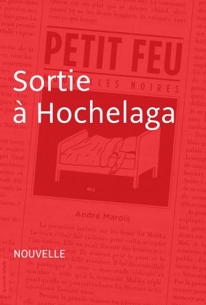 Cover of the book Sortie à Hochelaga by Julie Champagne