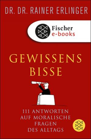 Book cover of Gewissensbisse