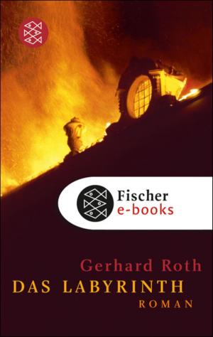 Cover of the book Das Labyrinth by Jörg Maurer