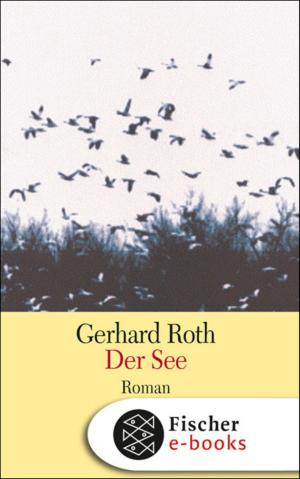 Cover of the book Der See by Ally Carter