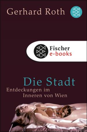 Cover of the book Die Stadt by Eric-Emmanuel Schmitt