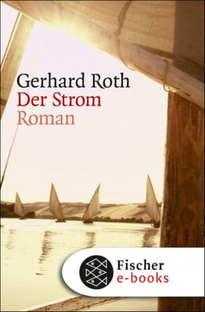Cover of the book Der Strom by Susanne Fröhlich