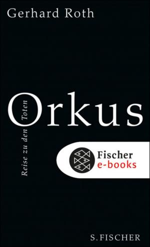 Cover of the book Orkus by Thomas Mann, Katia Mann, Erika Mann, Klaus Mann, Monika Mann, Prof. Dr. Golo Mann, Prof. Elisabeth Mann Borgese