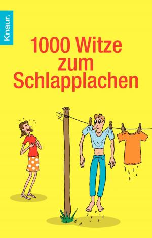 Book cover of 1000 Witze zum Schlapplachen