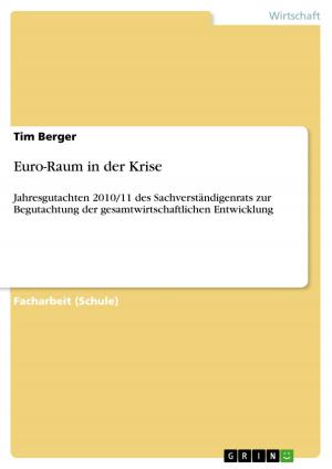 Cover of the book Euro-Raum in der Krise by Frank Stüdemann
