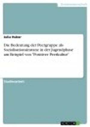 bigCover of the book Die Bedeutung der Peergruppe als Sozialisationsinstanz in der Jugendphase am Beispiel von 'Positiver Peerkultur' by 