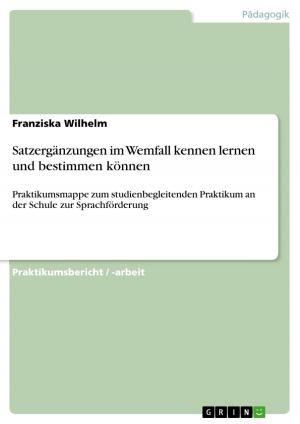 Cover of the book Satzergänzungen im Wemfall kennen lernen und bestimmen können by Dennis Giebeler