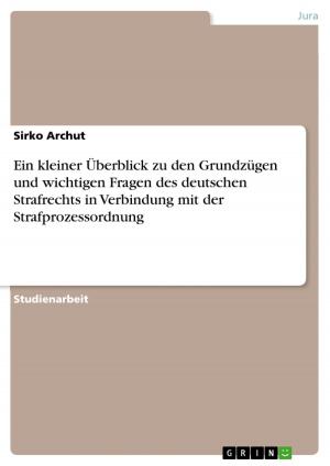 Cover of the book Ein kleiner Überblick zu den Grundzügen und wichtigen Fragen des deutschen Strafrechts in Verbindung mit der Strafprozessordnung by Rüdiger Bültmann