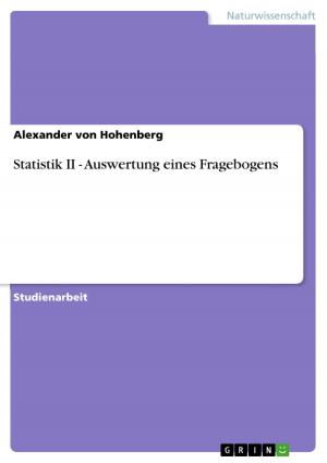 Cover of the book Statistik II - Auswertung eines Fragebogens by Holger Kliebe