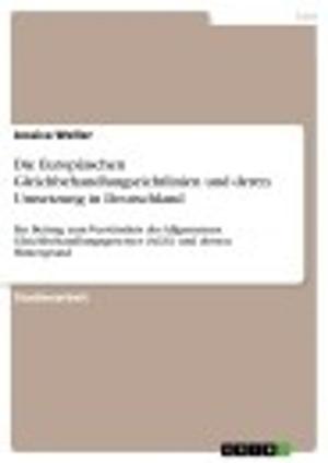 Cover of the book Die Europäischen Gleichbehandlungsrichtlinien und deren Umsetzung in Deutschland by Sebastian Kentsch