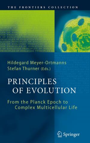 Cover of the book Principles of Evolution by Ulrike Imm-Bazlen, Anne-Kathrin Schmieg