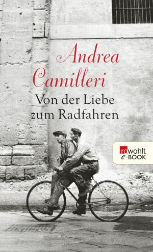 Cover of the book Von der Liebe zum Radfahren by Rebecca Niazi-Shahabi