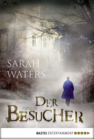 Cover of the book Der Besucher by Christine Drews