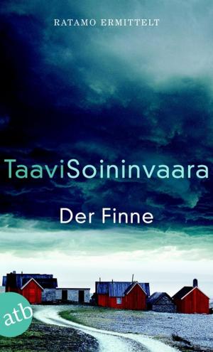 Cover of the book Der Finne by Martina André