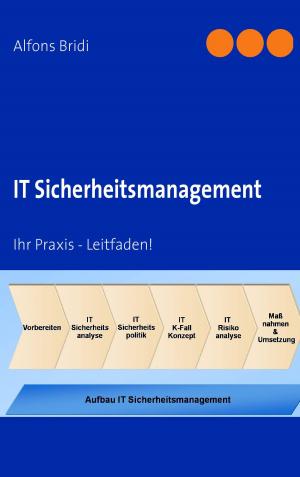 Cover of the book IT Sicherheitsmanagement by Brigitta Schmidt
