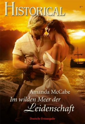 Cover of the book Im wilden Meer der Leidenschaft by JK Ensley