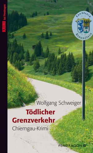 Book cover of Tödlicher Grenzverkehr
