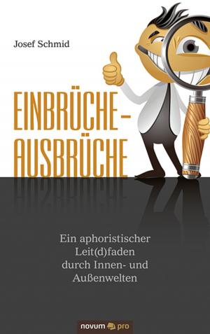 Cover of the book Einbrüche - Ausbrüche by Noemi Poka