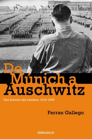 Cover of the book De Múnich a Auschwitz by Juan Marsé