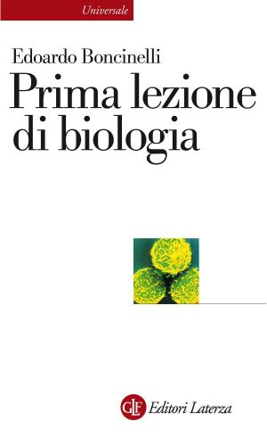 Cover of the book Prima lezione di biologia by Vittorio Vidotto