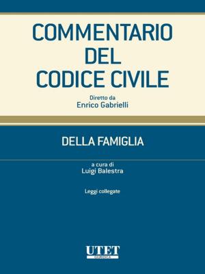 Cover of the book Commentario del Codice civile- Della famiglia- Leggi collegate by Sandro Mainardi