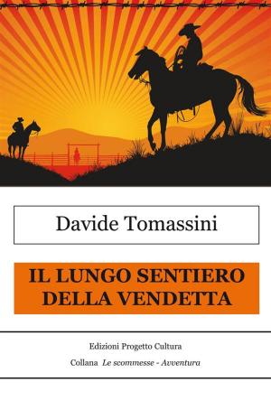 Cover of the book Il lungo sentiero della vendetta by Lorenzo Anselmi