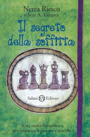Cover of the book Il segreto della soffitta by Emanuela Nava