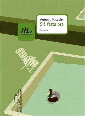 Cover of the book S'è fatta ora by Chris Offutt