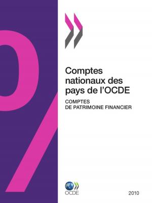 Cover of the book Comptes nationaux des pays de l'OCDE, Comptes de patrimoine financier 2010 by Collective