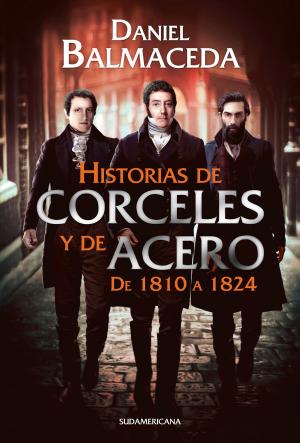 Book cover of Historias de corceles y de acero (de 1810 a 1824)