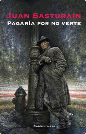 Cover of the book Pagaría por no verte by Will Cohu