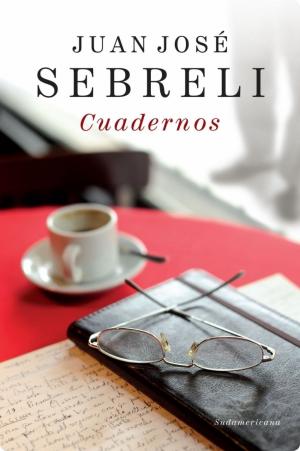 Cover of the book Cuadernos by Rubén Furman