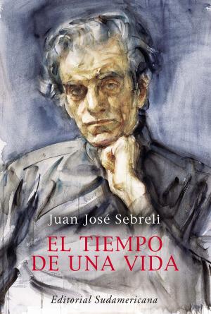 Cover of the book El tiempo de una vida by Santiago Giorgini