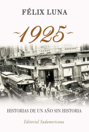 Cover of the book 1925. Historias de un año sin historia by Martín Lousteau