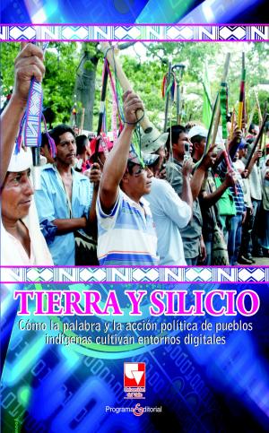 Cover of the book Tierra y silicio by Héctor González