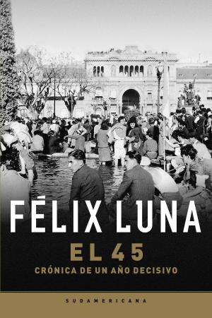 Cover of the book El cuarenta y cinco by Ema Wolf