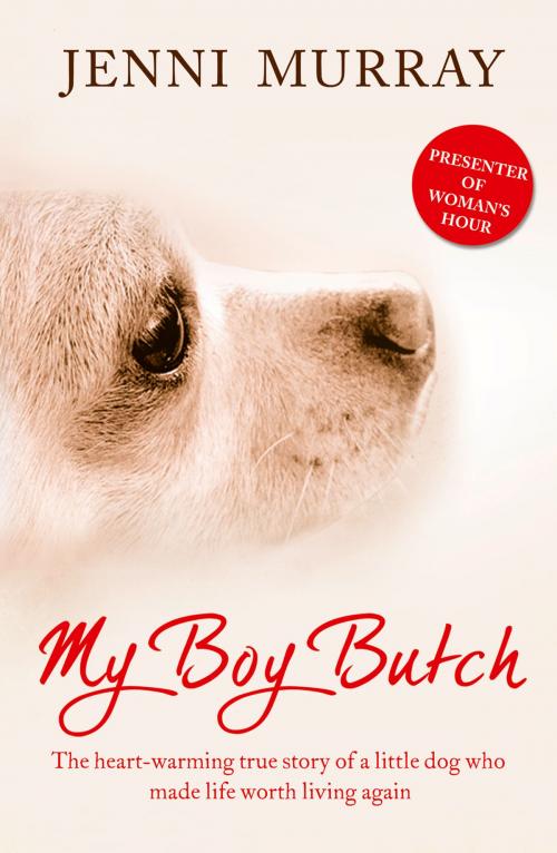 Cover of the book My Boy Butch: The heart-warming true story of a little dog who made life worth living again by Jenni Murray, HarperCollins Publishers