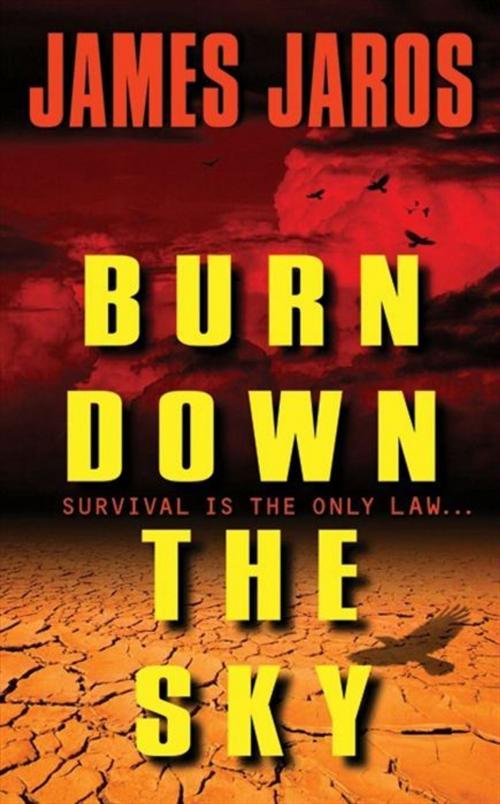 Cover of the book Burn Down the Sky by James Jaros, HarperCollins e-books