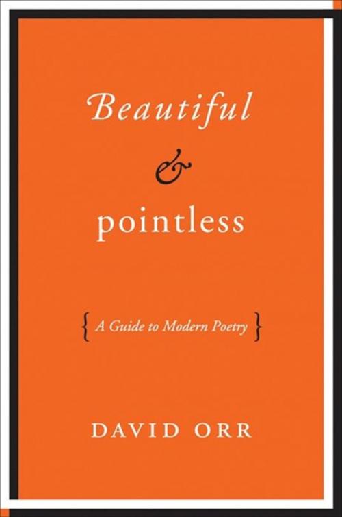 Cover of the book Beautiful & Pointless by David Orr, HarperCollins e-books